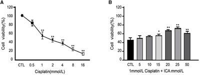 Exploration of the protective mechanisms of Icariin against cisplatin-induced renal cell damage in canines